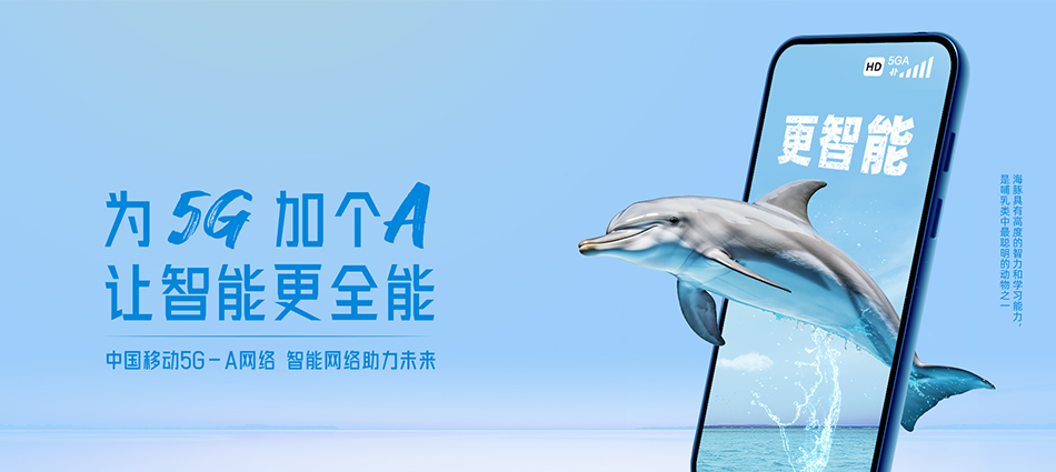 中国移动武都区移动宽带