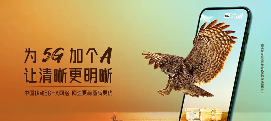 武都区武都区甘泉镇 移动宽带